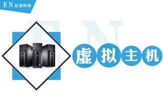 使用虚拟主机搭建网站的完整指南 从入门到成功上线