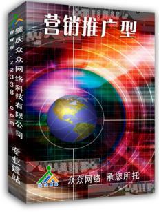 网站建设营销推广型套餐 企业一站式商务服务的得力助手