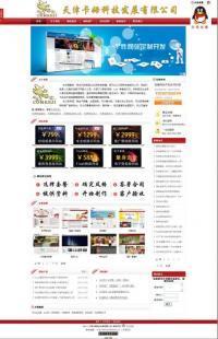 天津网站建设 个性定制与精美设计，开启企业数字门户仅需1599元起